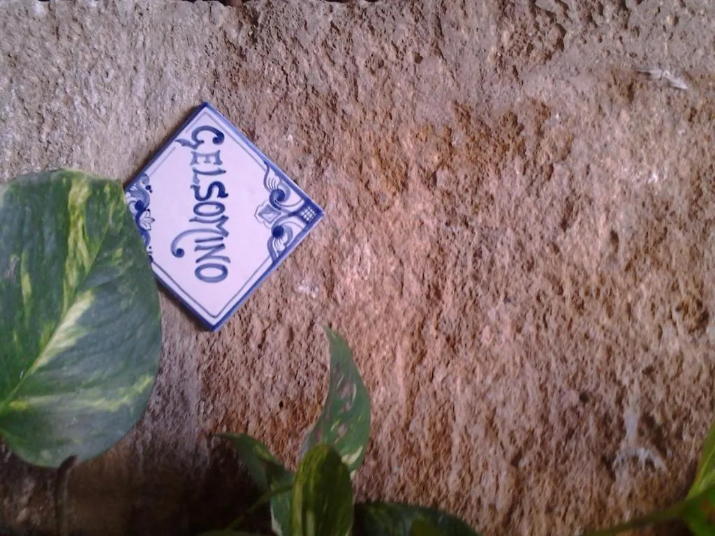 Il Cortile Fiorito Apartment Trapani