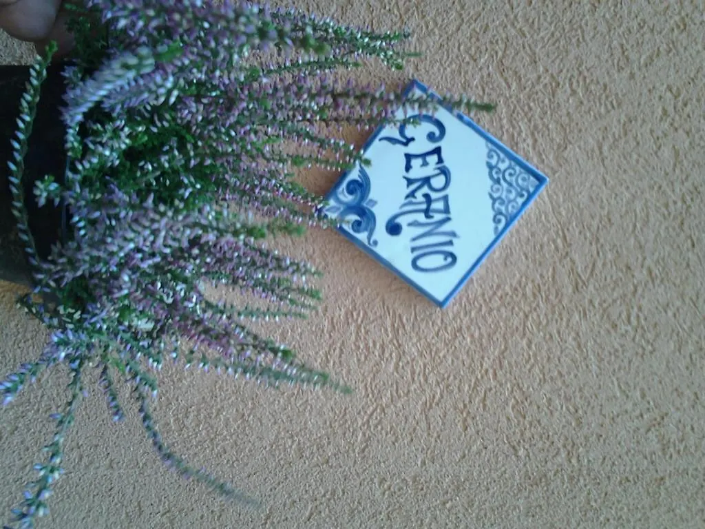 Il Cortile Fiorito Apartment Trapani Italy